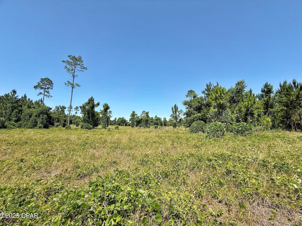 00 Solitaire Trl, Marianna, FL 32446
