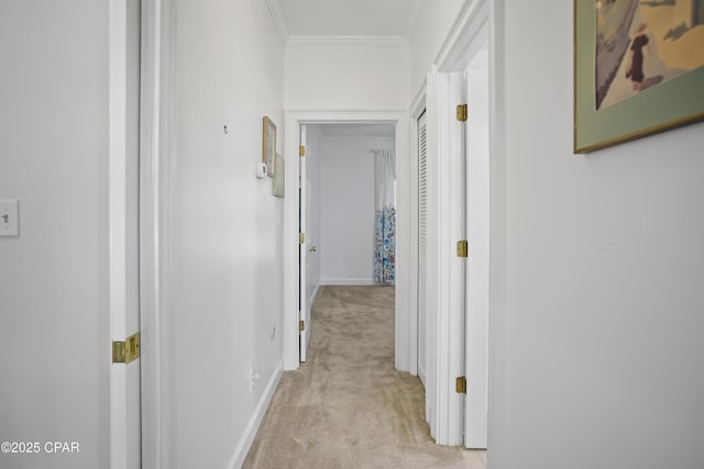 16532 SW Mimosa St, Blountstown, FL 32424 - hallway with light colored carpet, crown molding, and baseboards