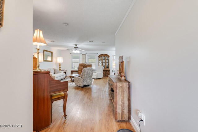 1402 New Hampshire Ave, Lynn Haven, FL 32444 - living room featuring ceiling fan, light wood-style floors, and crown molding
