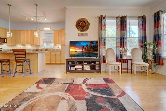 8700 Front Beach Rd Unit 7101, Panama City Beach, FL 32407 - living area featuring crown molding, light wood finished floors, and baseboards