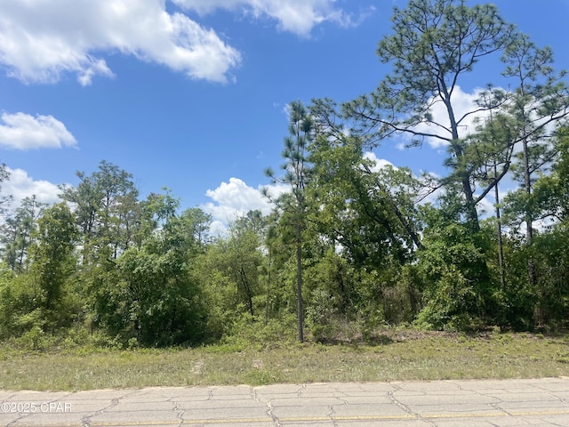 0 Coble Pl, Chipley, FL 32428
