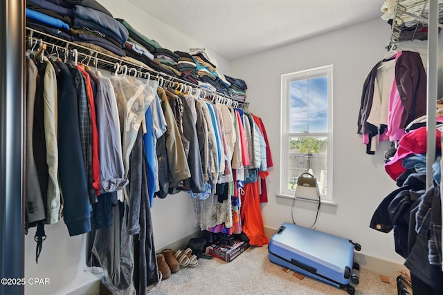 3928 Sandpine Way, Panama City, FL 32404 - spacious closet with carpet flooring