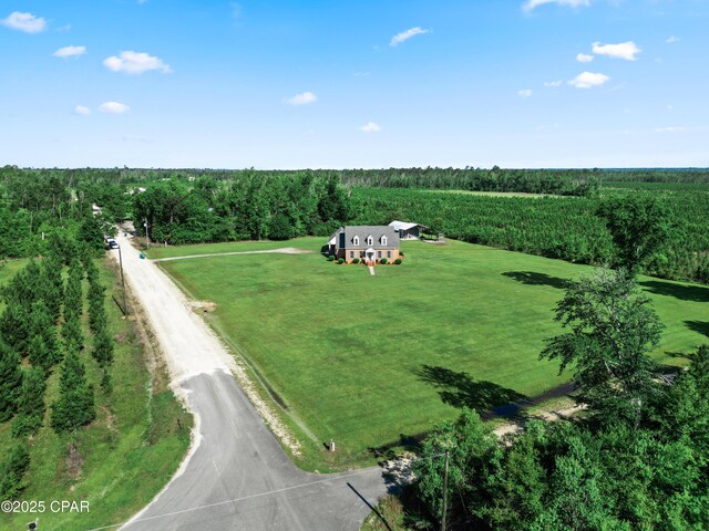18562 Lois Fowler Rd, Blountstown, FL 32424 - aerial view of sparsely populated area with a heavily wooded area