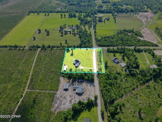 18562 Lois Fowler Rd, Blountstown, FL 32424 - view of rural area with farmland and property boundaries highlighted