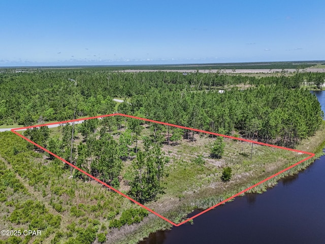 110 Calmwater Cir, Wewahitchka, FL 32465