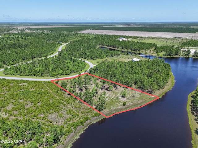 110 Calmwater Cir, Wewahitchka, FL 32465