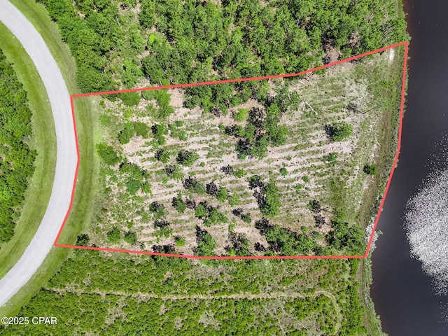 110 Calmwater Cir, Wewahitchka, FL 32465