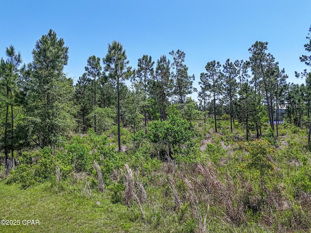 110 Calmwater Cir, Wewahitchka, FL 32465