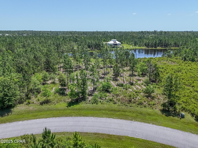 110 Calmwater Cir, Wewahitchka, FL 32465