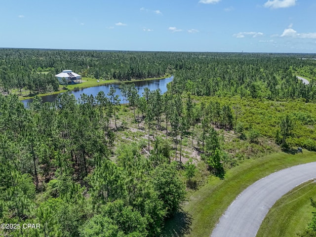 110 Calmwater Cir, Wewahitchka, FL 32465