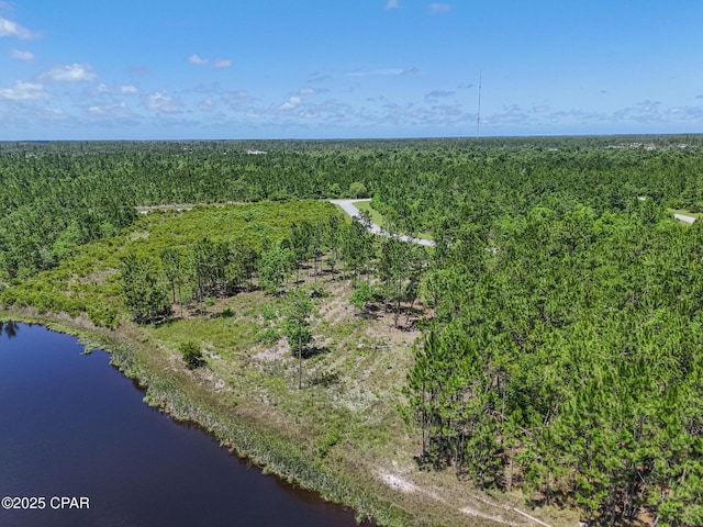 110 Calmwater Cir, Wewahitchka, FL 32465