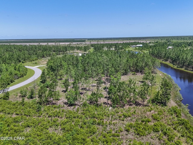 110 Calmwater Cir, Wewahitchka, FL 32465