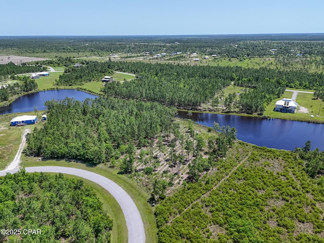 110 Calmwater Cir, Wewahitchka, FL 32465