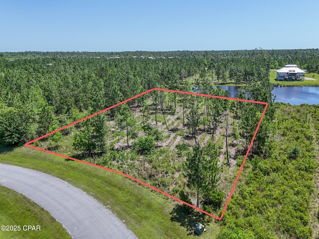 110 Calmwater Cir, Wewahitchka, FL 32465
