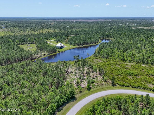 110 Calmwater Cir, Wewahitchka, FL 32465