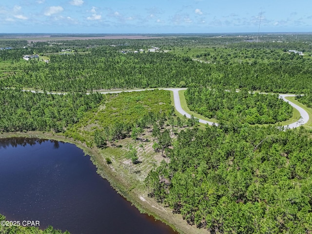 110 Calmwater Cir, Wewahitchka, FL 32465