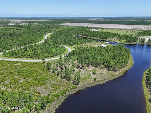 110 Calmwater Cir, Wewahitchka, FL 32465