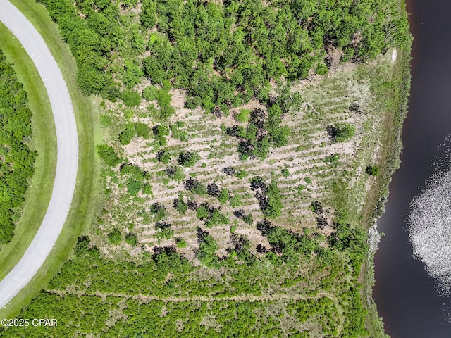 110 Calmwater Cir, Wewahitchka, FL 32465