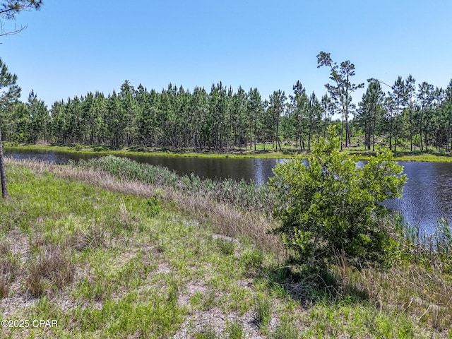 110 Calmwater Cir, Wewahitchka, FL 32465