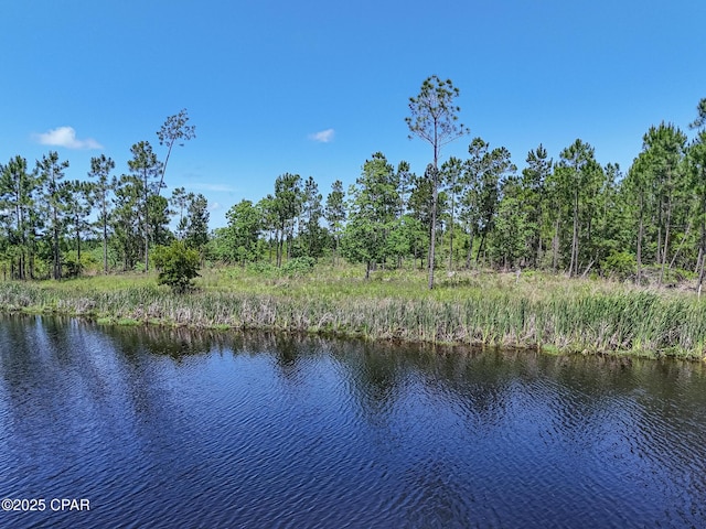 110 Calmwater Cir, Wewahitchka, FL 32465