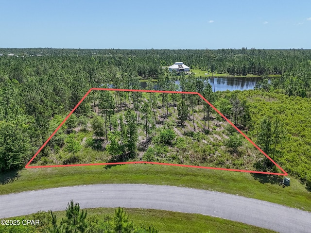 110 Calmwater Cir, Wewahitchka, FL 32465