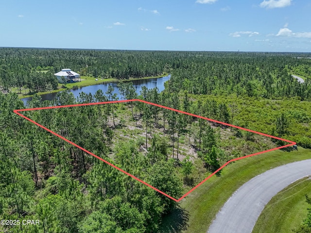 110 Calmwater Cir, Wewahitchka, FL 32465