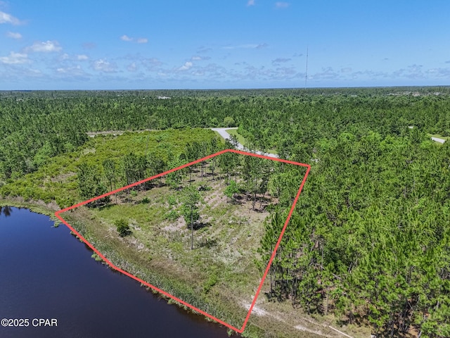 110 Calmwater Cir, Wewahitchka, FL 32465