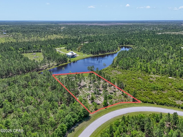 110 Calmwater Cir, Wewahitchka, FL 32465