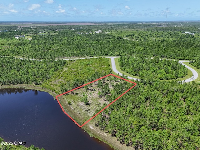 110 Calmwater Cir, Wewahitchka, FL 32465