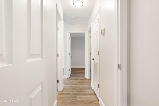 4130 White Pine Ct, Tallahassee, FL 32311 - corridor with light wood finished floors and baseboards