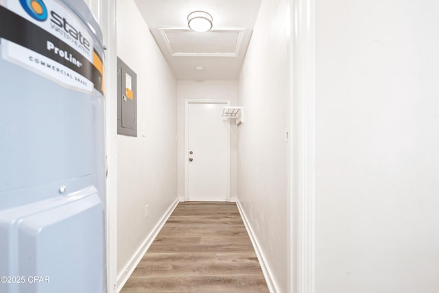 4130 White Pine Ct, Tallahassee, FL 32311 - hallway featuring attic access, light wood finished floors, electric panel, and baseboards