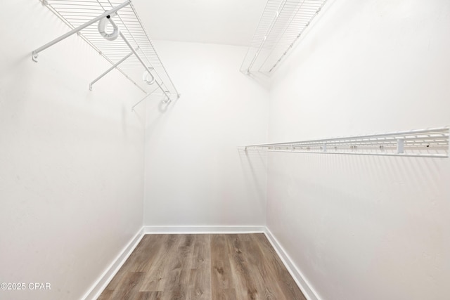 4130 White Pine Ct, Tallahassee, FL 32311 - spacious closet with wood finished floors