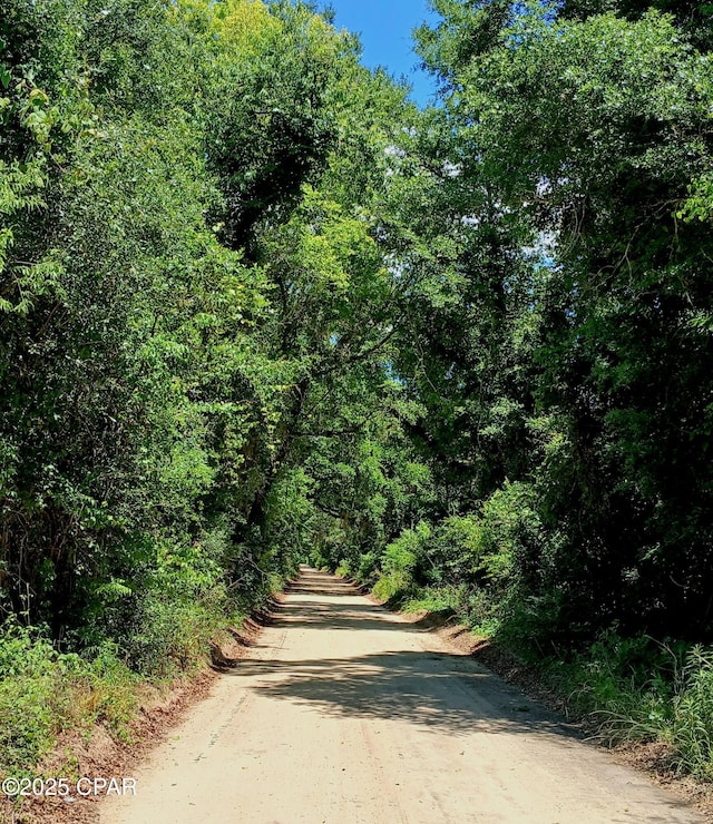 TBD Wolf Pond Rd, Bascom, FL 32423
