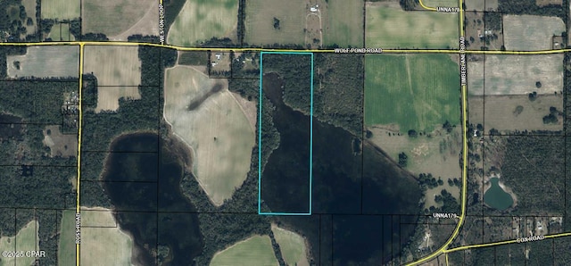 TBD Wolf Pond Rd, Bascom, FL 32423