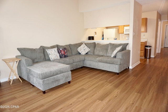 2738 W Tharpe St Unit 1103, Tallahassee, FL 32303 - living area with light wood-type flooring and baseboards