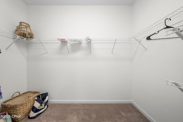 8636 Conch Shell Ct, Panama City Beach, FL 32413 - spacious closet with carpet flooring