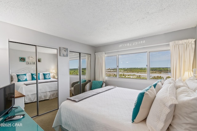 23223 Front Beach Rd Unit A704, Panama City Beach, FL 32413 - bedroom with a textured ceiling and two closets