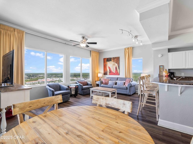 16819 Front Beach Rd Unit 2800, Panama City Beach, FL 32413 - living area featuring rail lighting, ceiling fan, dark wood finished floors, and crown molding