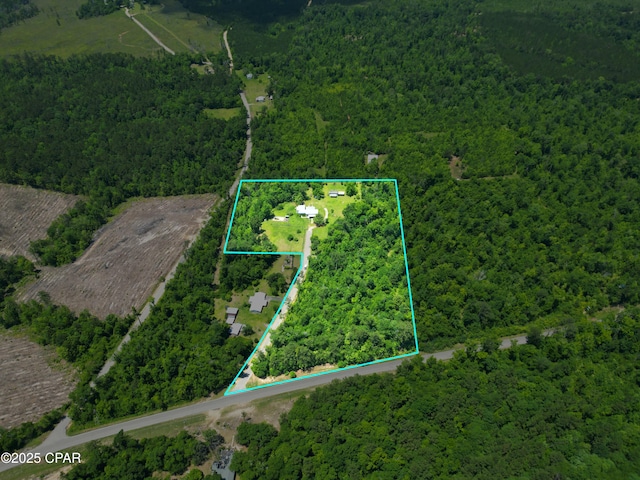 133 Devane Rd, Chattahoochee, FL 32324 - aerial view of property's location with a forest and property boundaries highlighted