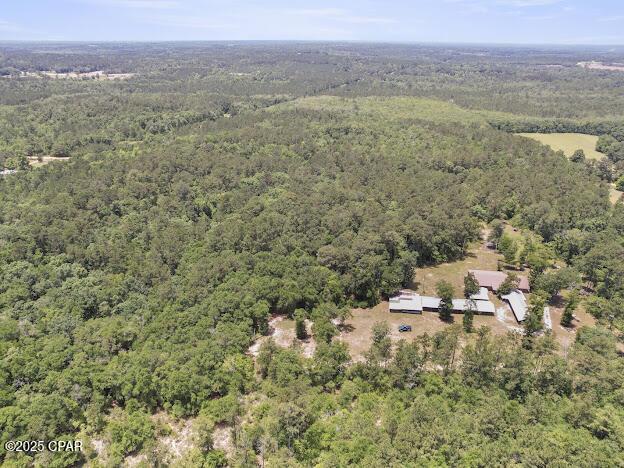 2921 Ambus Ln, Chipley, FL 32428 - bird's eye view of a heavily wooded area