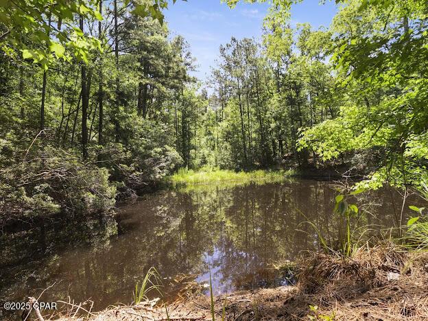 2921 Ambus Ln, Chipley, FL 32428 - water view featuring a forest
