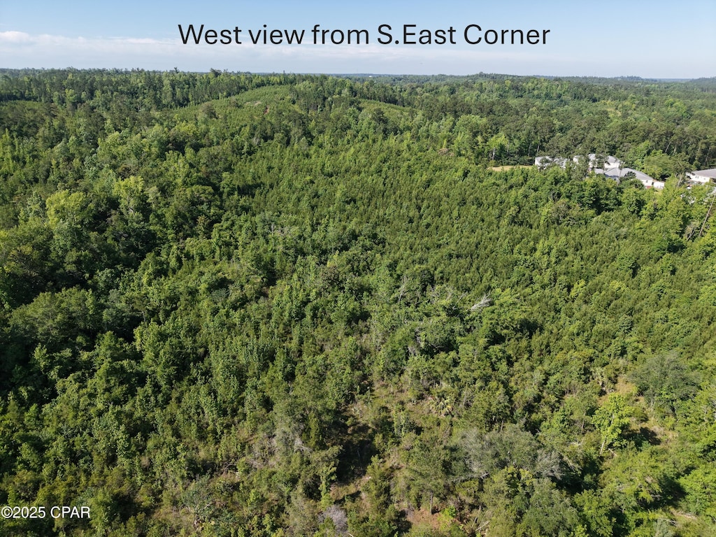 00 Line St, Chattahoochee, FL 32324