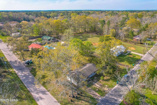 540 4th St, Chipley, FL 32428 - bird's eye view of a forest