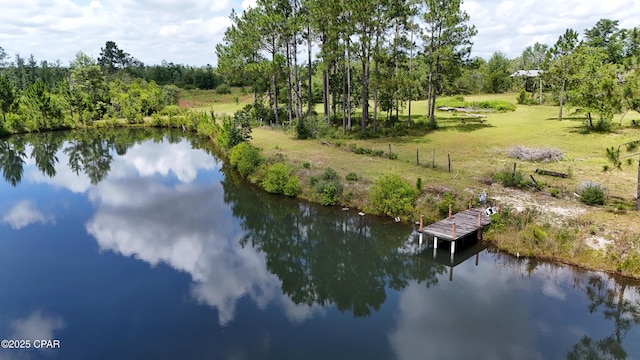 24197 NW Pine Tree Trl, Fountain, FL 32438 - water view featuring a dock