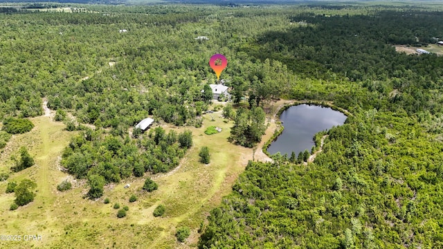 24197 NW Pine Tree Trl, Fountain, FL 32438 - aerial overview of property's location featuring a heavily wooded area and a nearby body of water