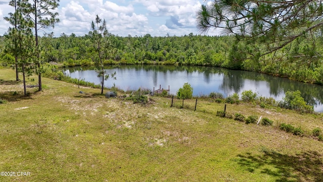 24197 NW Pine Tree Trl, Fountain, FL 32438 - water view featuring a heavily wooded area