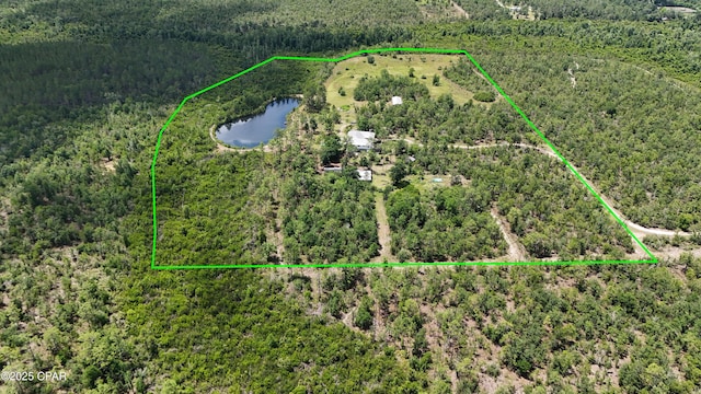 24197 NW Pine Tree Trl, Fountain, FL 32438 - aerial view of property and surrounding area with a nearby body of water and property boundaries highlighted