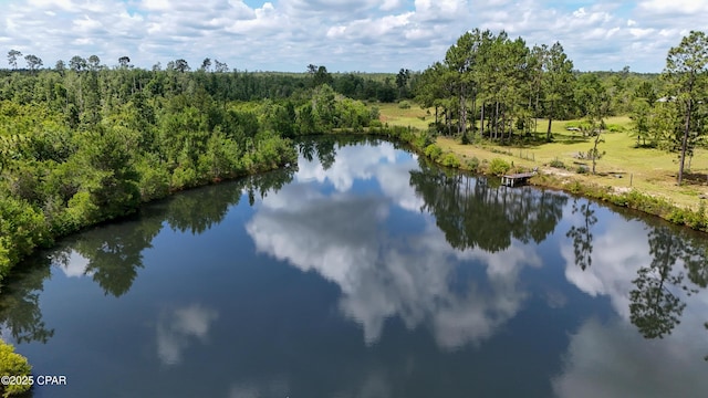 24197 NW Pine Tree Trl, Fountain, FL 32438 - water view featuring a forest