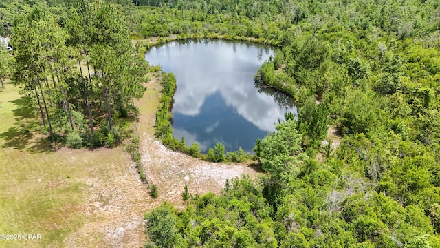 24197 NW Pine Tree Trl, Fountain, FL 32438 - bird's eye view of a forest and a nearby body of water