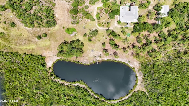 24197 NW Pine Tree Trl, Fountain, FL 32438 - aerial view of property and surrounding area featuring a nearby body of water